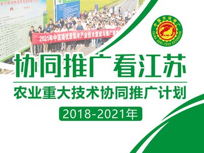 农科教协同 江苏构建农业重大技术协同推广新格局