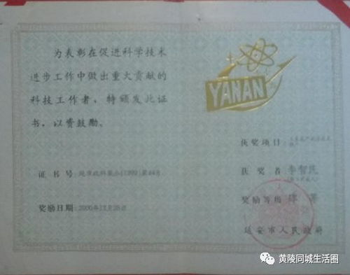 证书背后的秘密 技术推广中的信任建构与现实反思